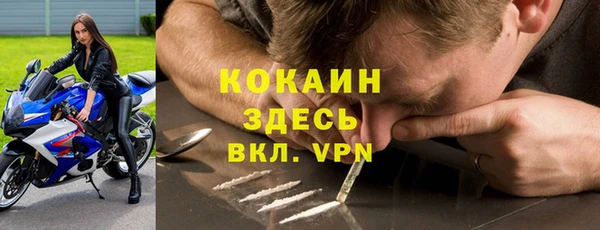 СК Елизово